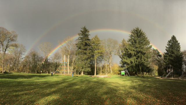 Bildquelle: Frank Reinemer